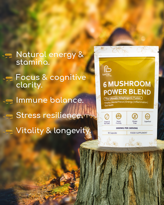 6 Mushroom Power Blend