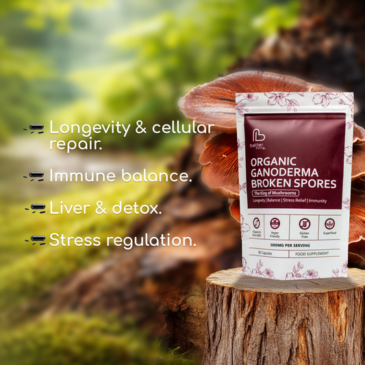 Organic Ganoderma Broken Spores