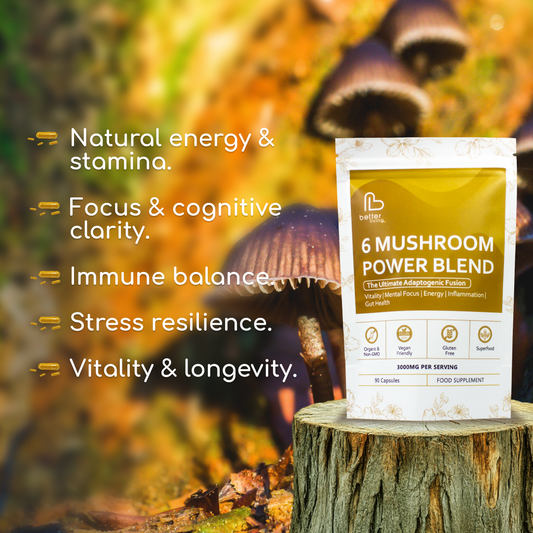 6 Mushroom Power Blend